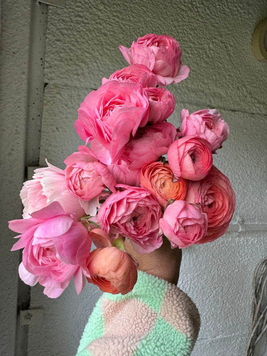 *PRE ORDER* Ranunculus - Wylde Blend