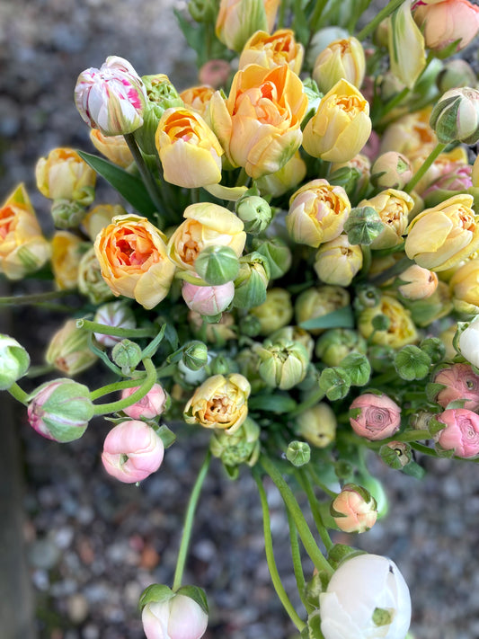 Wylde Bloom Buckets 2025