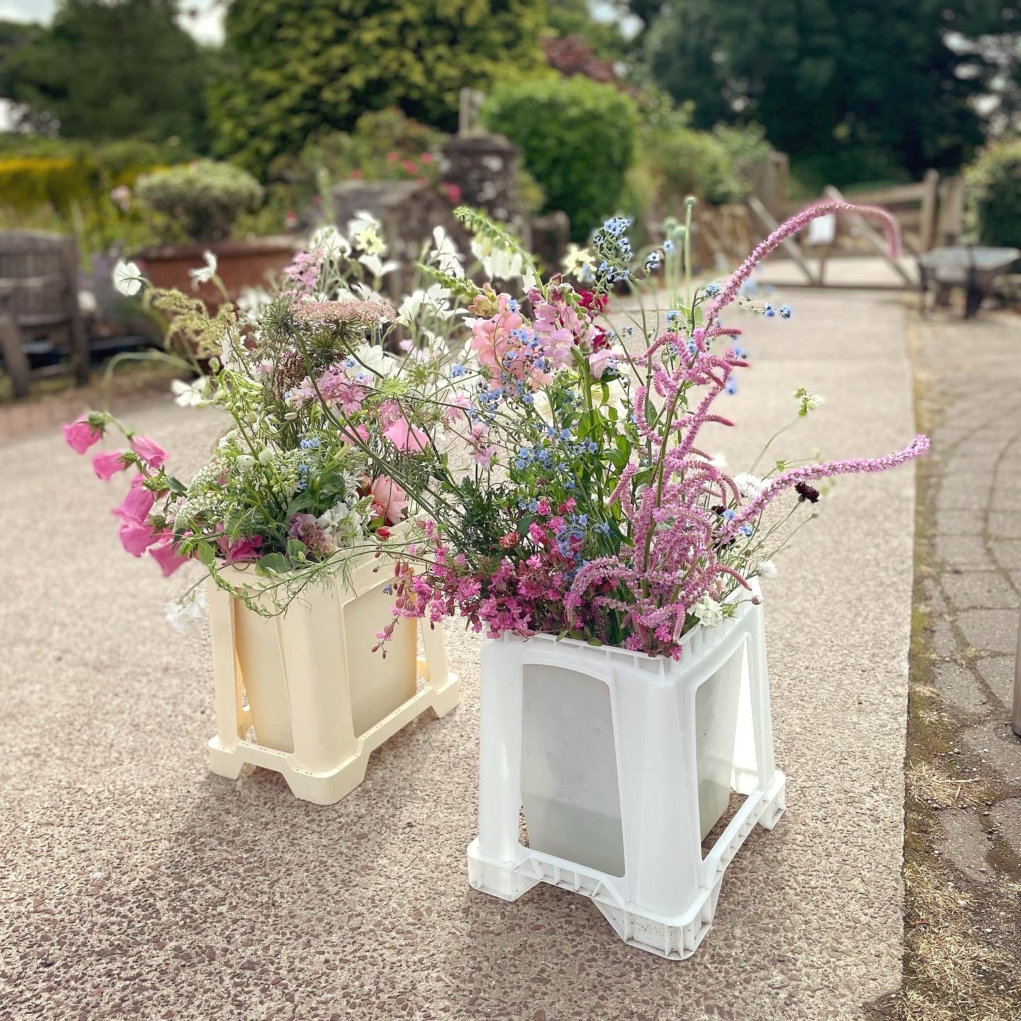 Two buckets of freshly cut May blooms in early summer colours, soft pinks, blue and white 