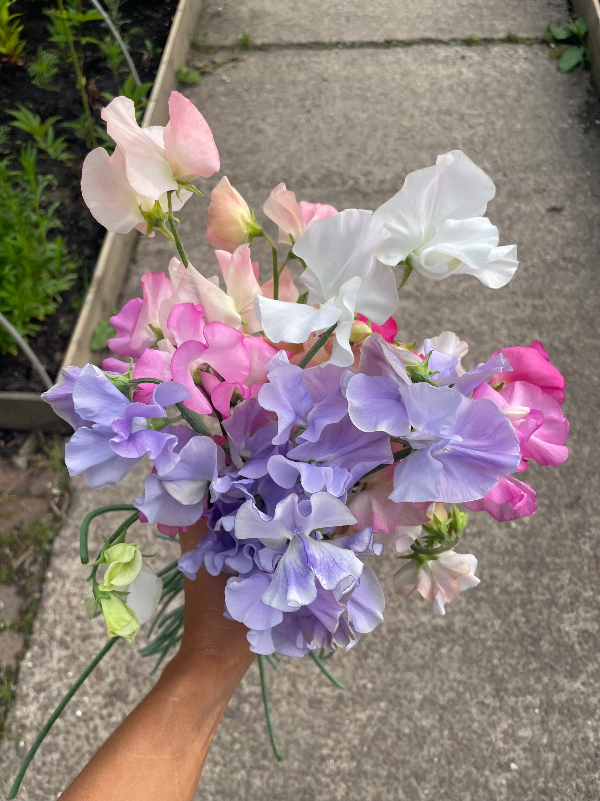 A hand holding a bouquet of mixed flowers, including lavender, pink, and white blossoms, against a concrete walkway background.