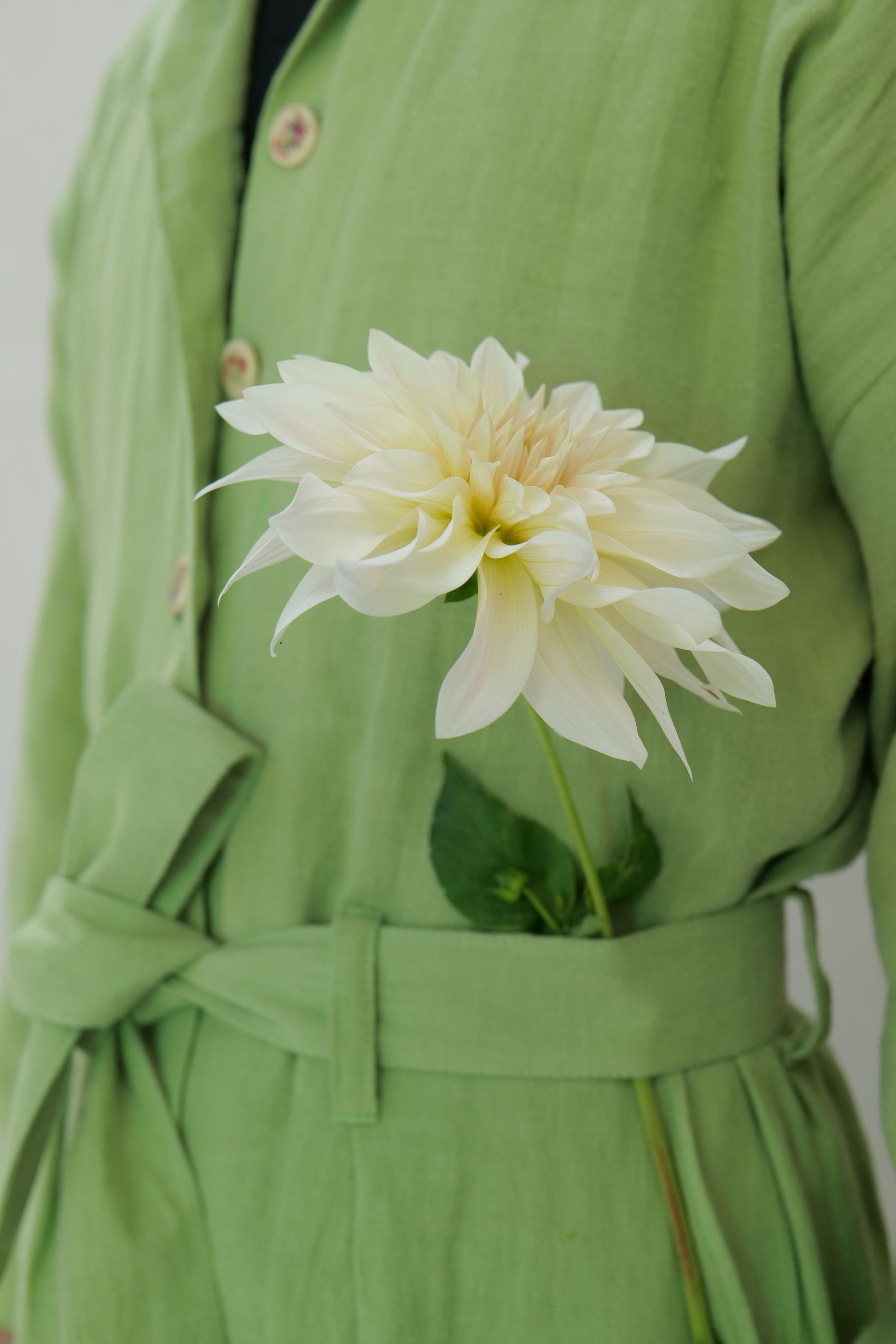 person wearing green linen overalls with a cafe au lait dahlia tucked into the waistband